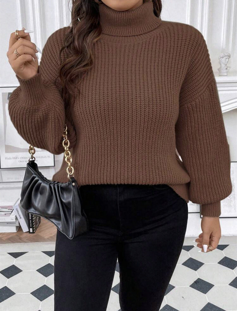 Ladies Comfortable Chunky Sweater with Turtleneck and Textured Knit Chic and Style