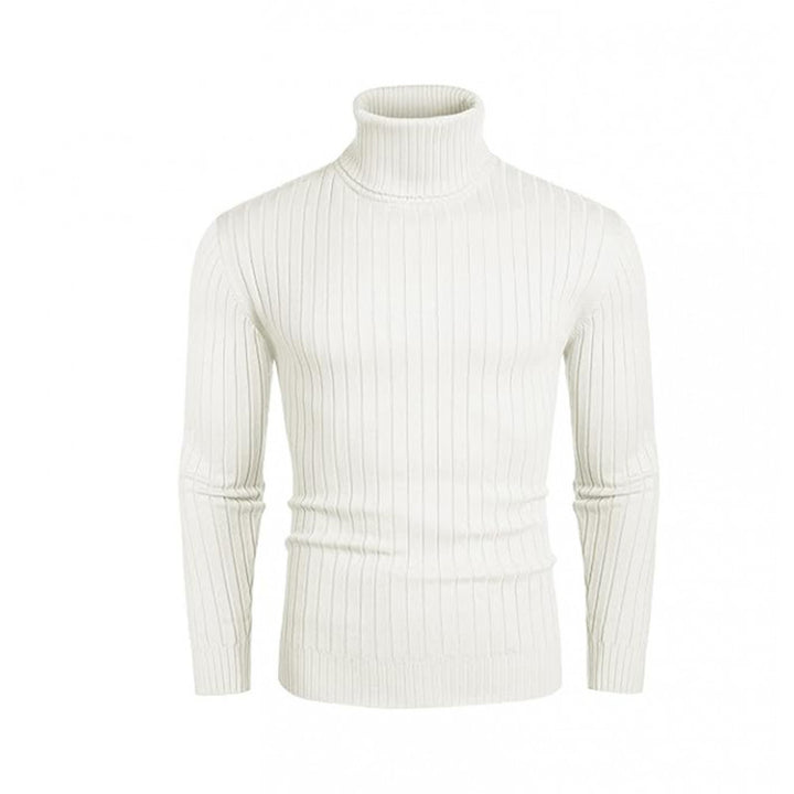 Elegant men's ribbed fine knit turtleneck sweater Lune London