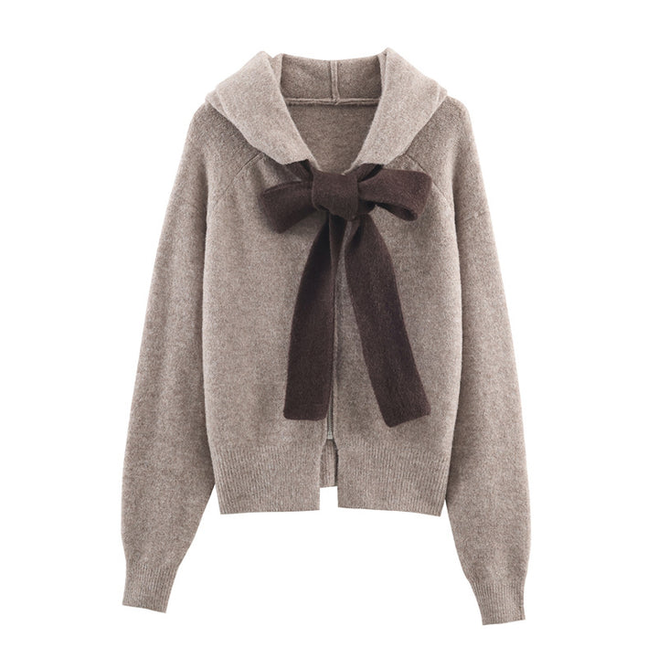 Pull tricoté stylé pour femmes avec capuche et cordon décoratif Chic & Stil