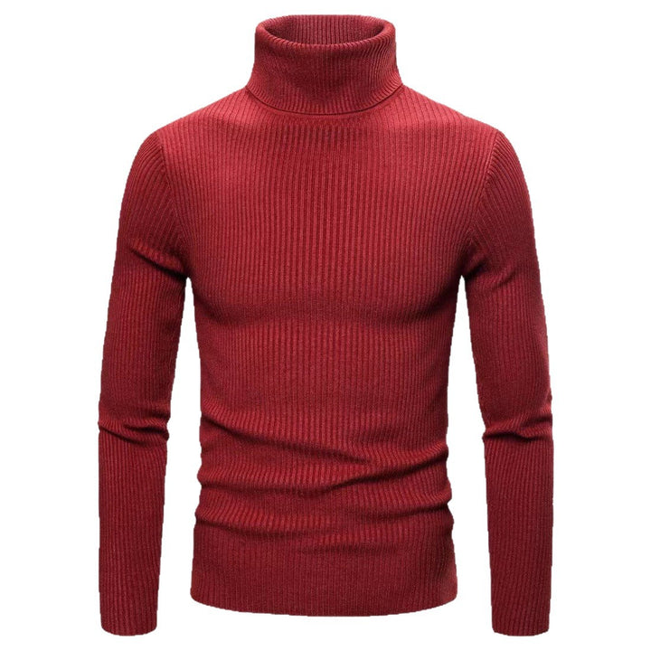 Men's premium turtleneck sweater in fine ribbed knit Lune London