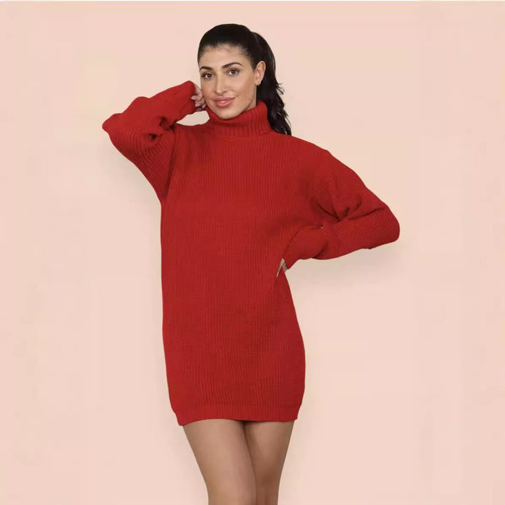 Knit dress for women with a comfortable turtleneck and casual fit Lune Londonl
