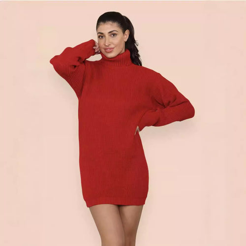Knit dress for women with a comfortable turtleneck and casual fit Lune Londonl
