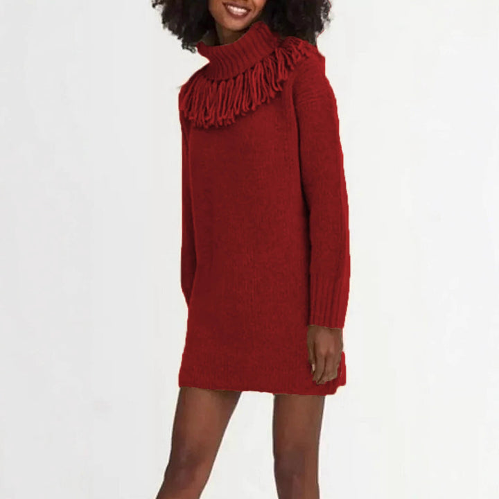 Knit dress for women with high turtleneck and trendy fringes Lune London