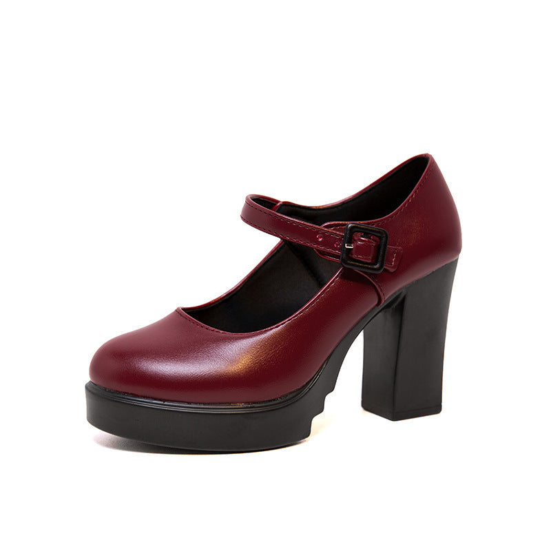 Women's Elegant Mary Jane Pumps with Decorative Strap and Comfortable Block Heel Lune London