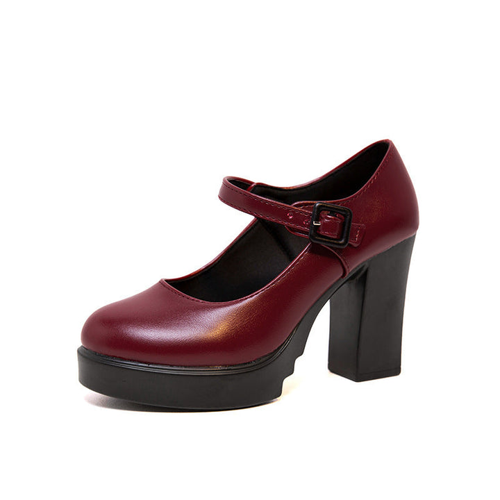 Women's Elegant Mary Jane Pumps with Decorative Strap and Comfortable Block Heel Lune London