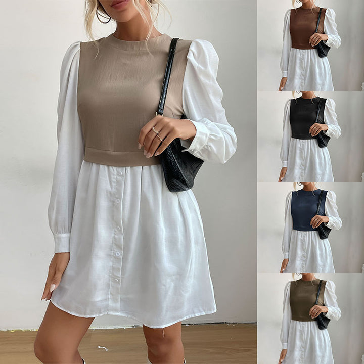 Chic and stylish shaded dress for women