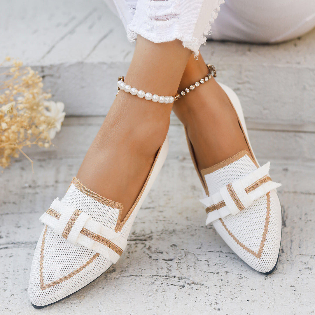 Ladies Elegant Ballerinas Pointed Toe Chic and Style