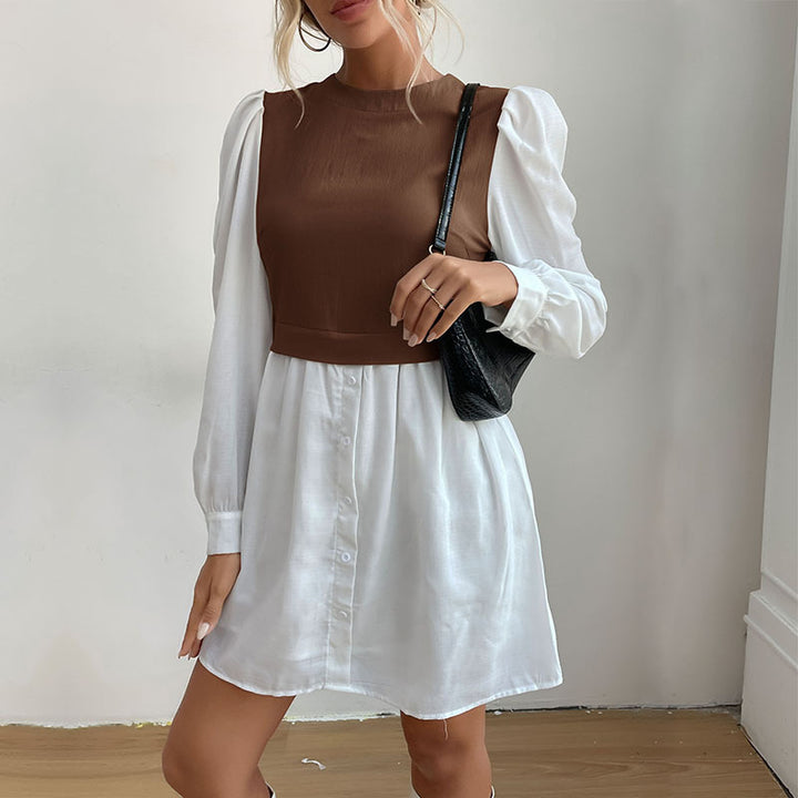 Chic and stylish shaded dress for women