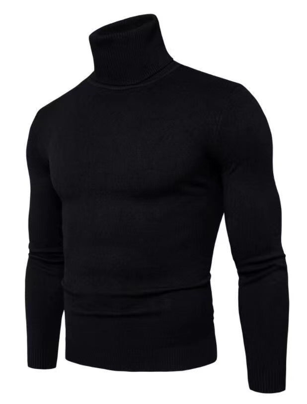 Elegant turtleneck pullover for men in fine merino wool Lune London