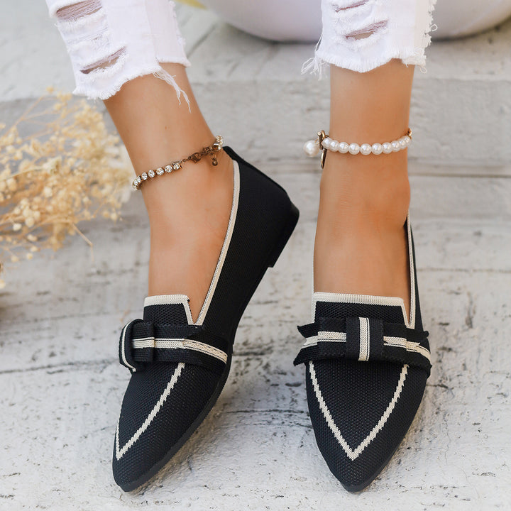 Ladies Elegant Ballerinas Pointed Toe Chic and Style