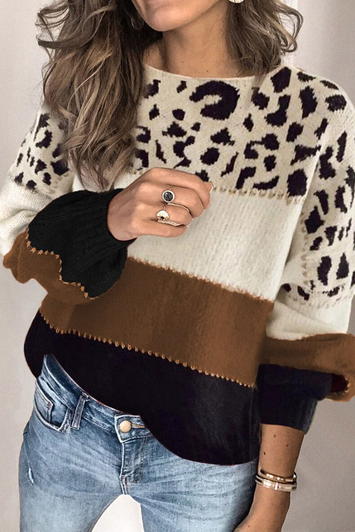 Lune London Color Block Casual Knit Sweater for Women